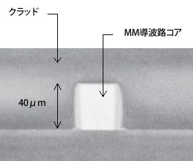 直接露光法による導波路作製例