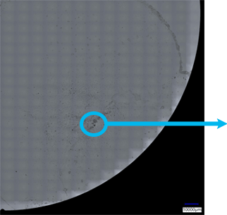 モノクロの撮影画像。ウエハの右下1/4部分。画像の中央やや下に付着異物が見える。
