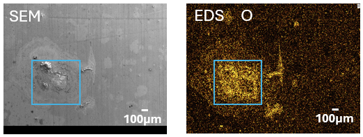 画像 左から、SEM、EDS O 拡大箇所を青枠で囲っている