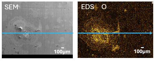 画像 左から、SEM、EDS O 画像の上下方向の中央に、左から右に青い矢印
