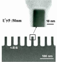 50nmピッチL&S断面