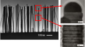 InPナノワイヤ100nm