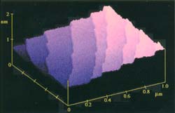 Échantillon standard pour l'étalonnage de la hauteur AFM (microscope à force atomique)