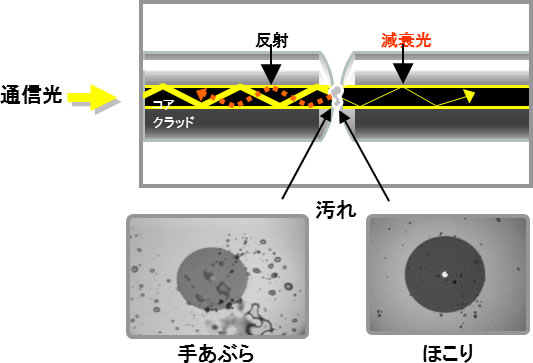 肉眼では確認できない光コネクタ端面の汚れが反射と損失の増加を引き起こします