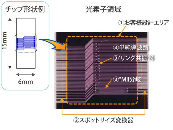 ベーシックなシリコン導波路回路の試作チップ製作例