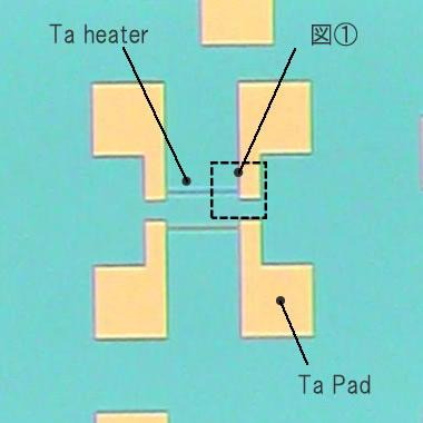 石英（オーバークラッド）上のTaヒーターパタン加工例